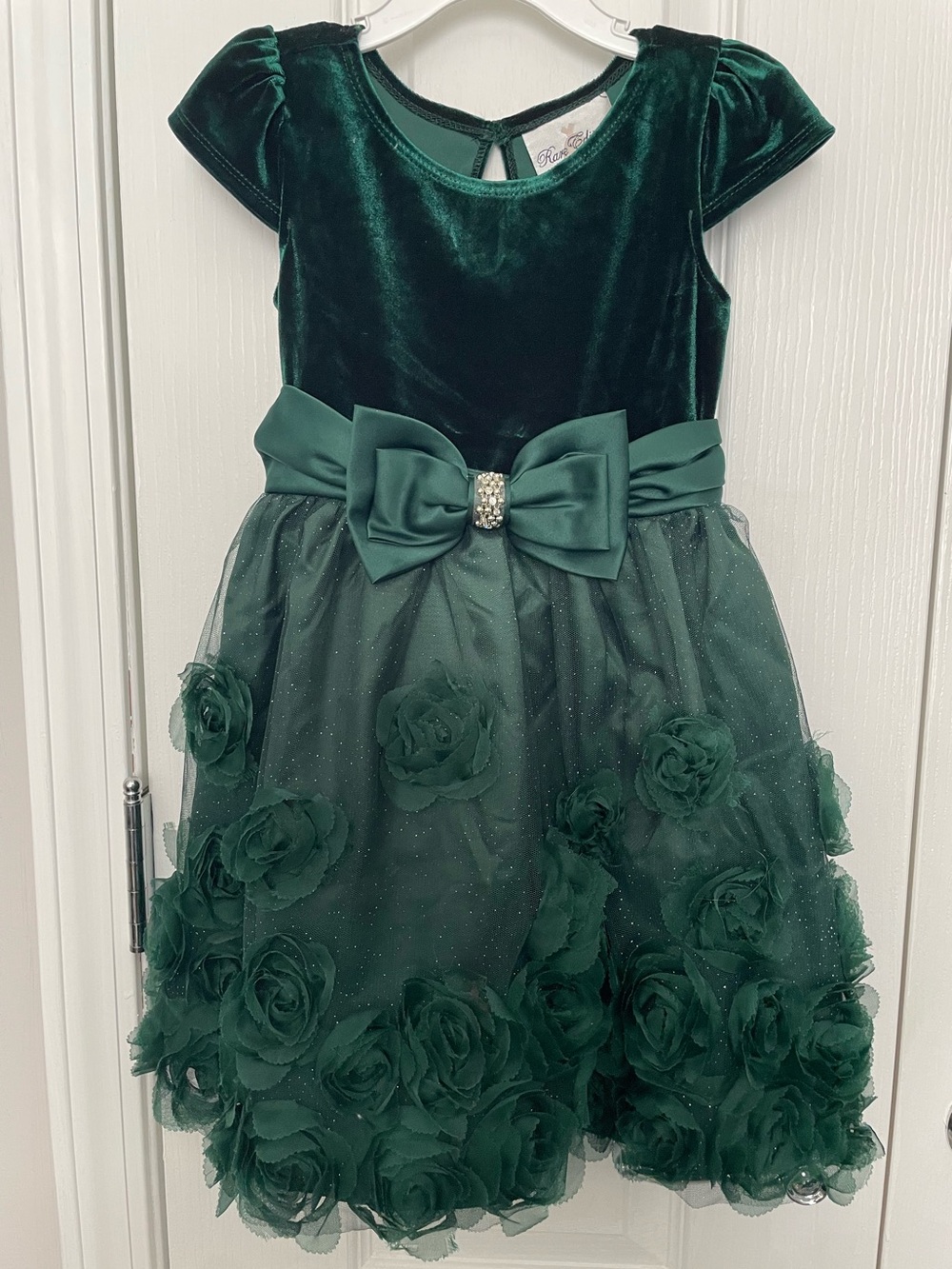 Rare Editions Dark Green Velvet & Rosette Tulle Party Dress. Worn One Time.